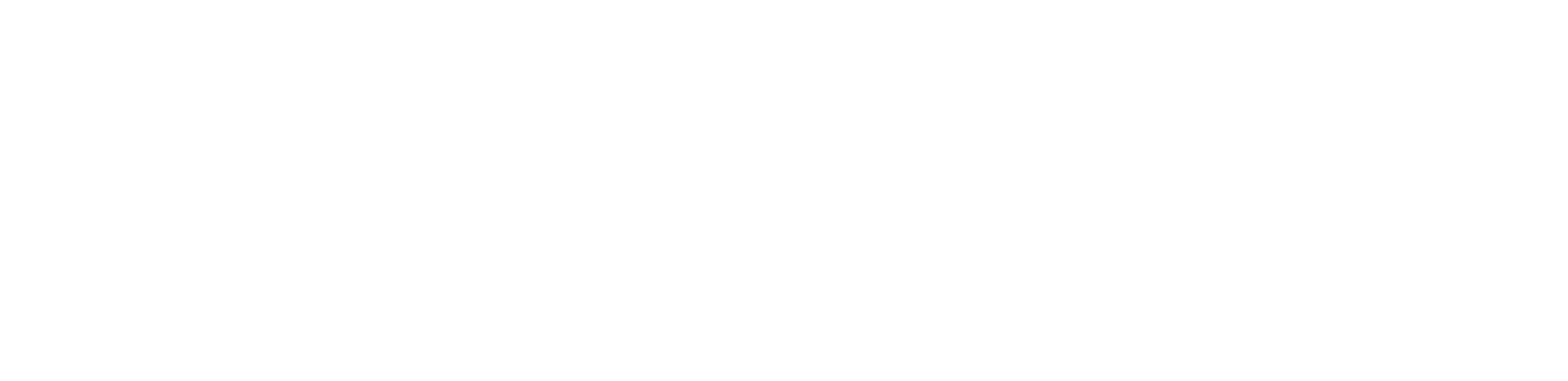 Проект «СтудТуризм»